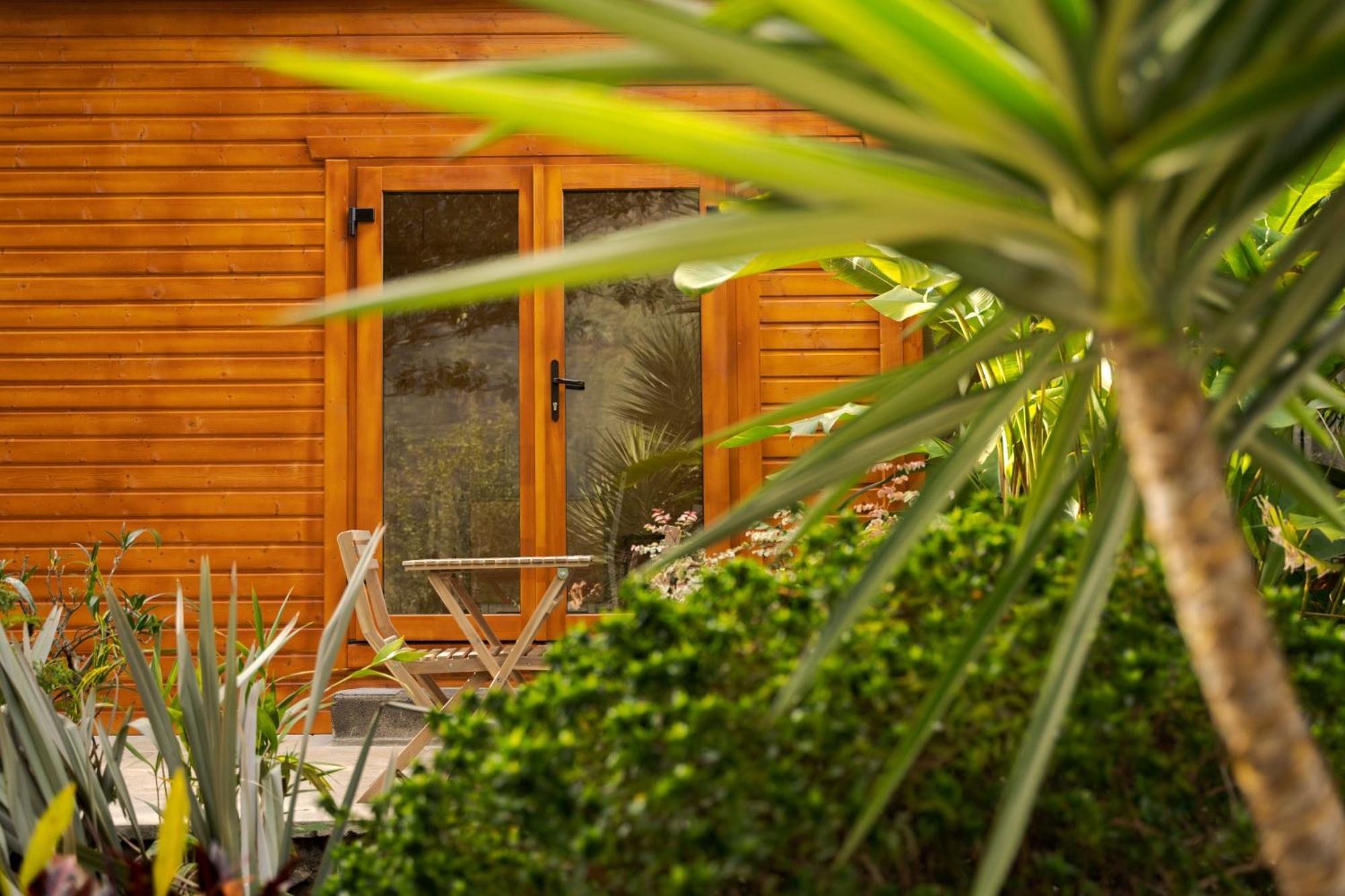 Madeira Surf Lodge São Vicente エクステリア 写真